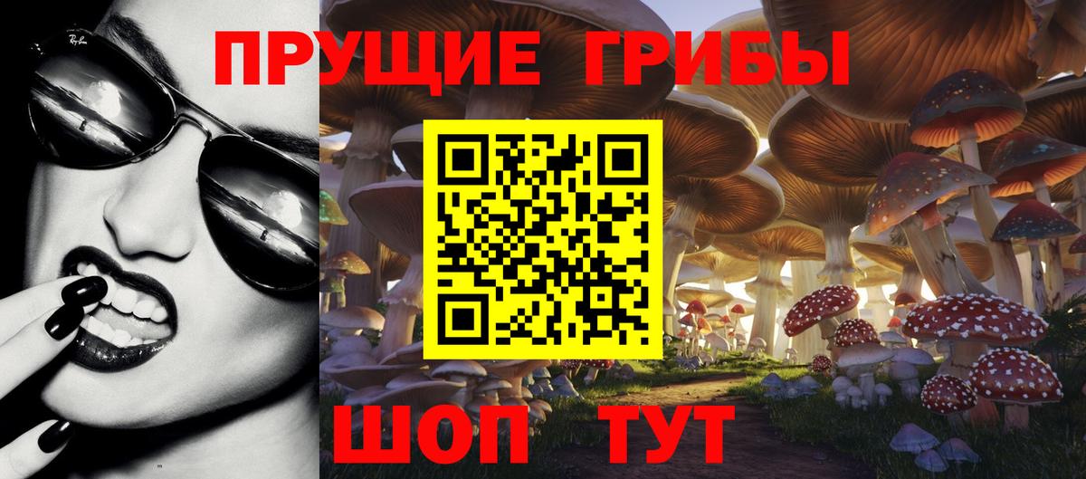 Галлюциногенные грибы MAGIC MUSHROOMS Скопин